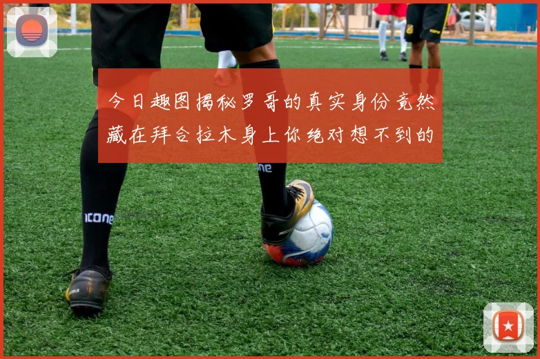 今日趣图揭秘罗哥的真实身份竟然藏在拜合拉木身上你绝对想不到的真相