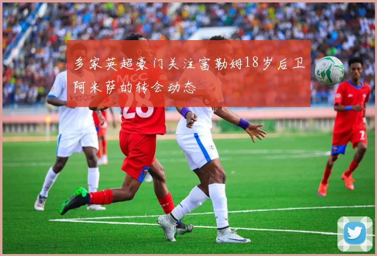 多家英超豪门关注富勒姆18岁后卫阿米萨的转会动态