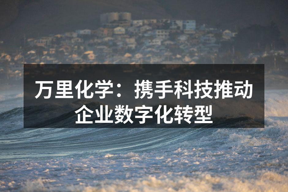 数字化转型中的万里化学团队