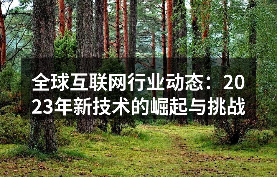 全球互联网行业动态：2023年新技术的崛起与挑战