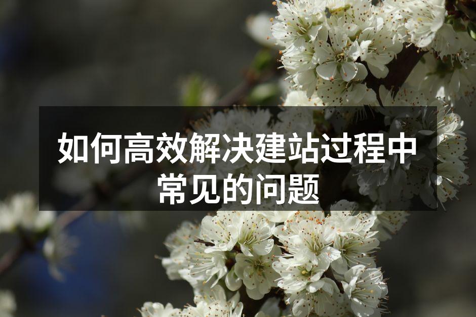 高效解决建站问题的技巧