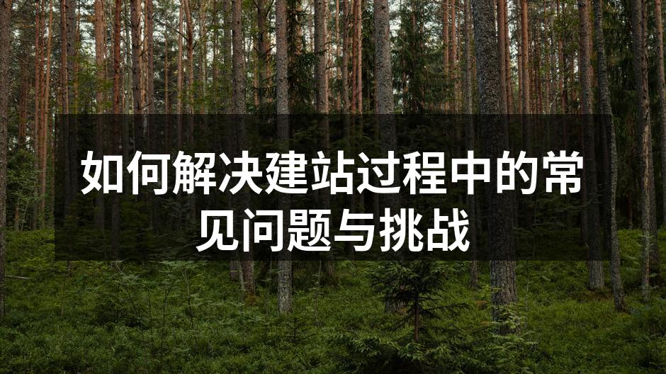 如何解决建站过程中的常见问题与挑战