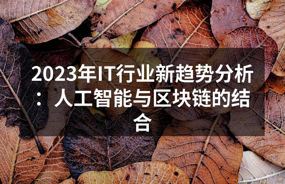 2023年IT行业新趋势分析：人工智能与区块链的结合